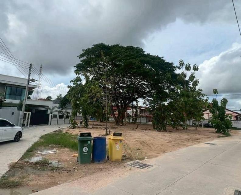 ขายที่ดินถมแล้วหนองปรือ 1 ไร่ แปลงหัวมุมติดถ.ซอยชัยพฤกษ์1 ใกล้หาดจอมเทียน-1กม. จ.ชลบุรี 5
