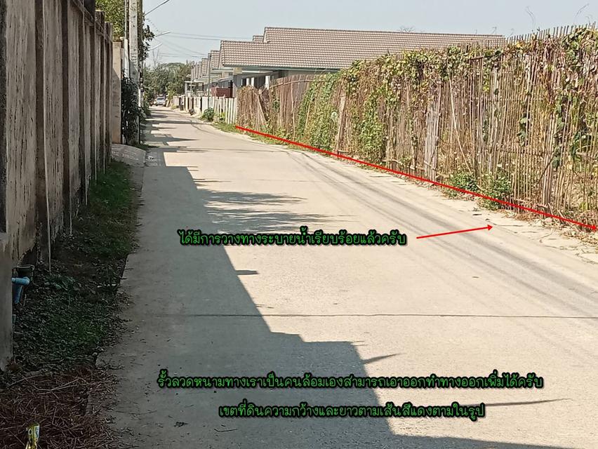 ที่ดินเปล่า/ไม่แบ่งขาย 14