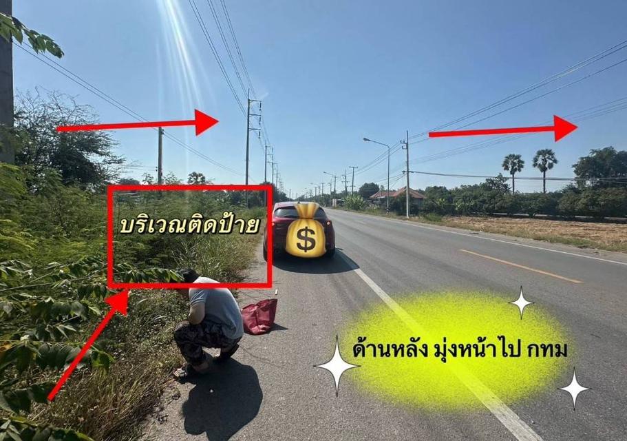 ขายที่ดิน 11 ไร่ 41 ตร.ว. ติดถนน โพธาราม- จังหวัดราชบุรี 5