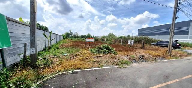 ที่ดินเปล่า 110 ตรว. แปลงมุม ถมแล้ว บางคูวัด บางบัวทอง นนทบุรี 5