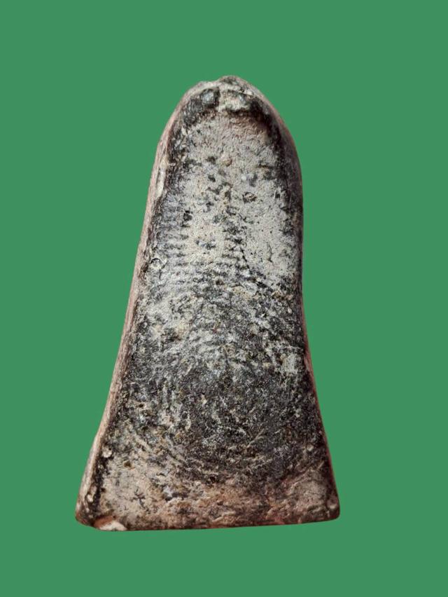 เปิดจ้า💞สนใจทักแชทได้เลยนะคะ 💚ส่งฟรีค่ะ 🥰 รูปที่ 3