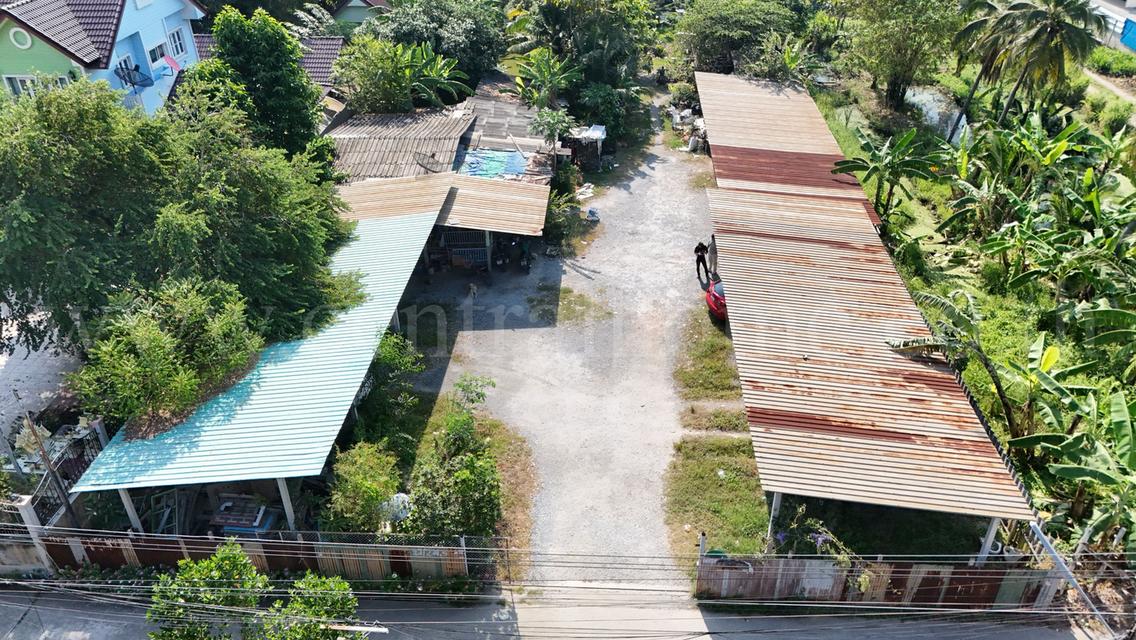 ที่ดิน 1 ไร่ ซอย สุคนธวิท 29 กระทุ่มแบน - สมุทรสาคร ราคาถูก 9