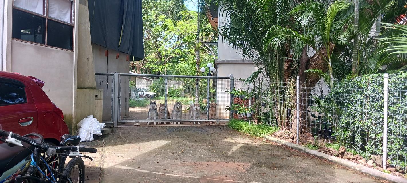 ขายบ้านพร้อมที่ดิน 19