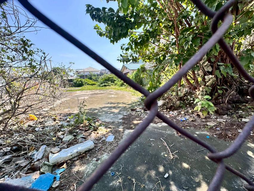 ขายที่ดินถมแล้ว ซอยลาซาล 26 ทำเลดี ห่างจากปากซอย 250 เมตร (N.1930) 9