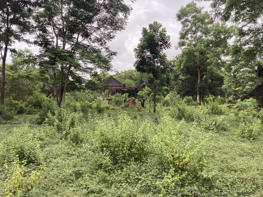 ที่ดินทำเลทอง!ติดถนนเมนหลักใกล้มหาลัยนครพนม 7