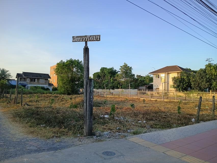 ที่ดินเปล่าหนองจอก กรุงเทพ 1