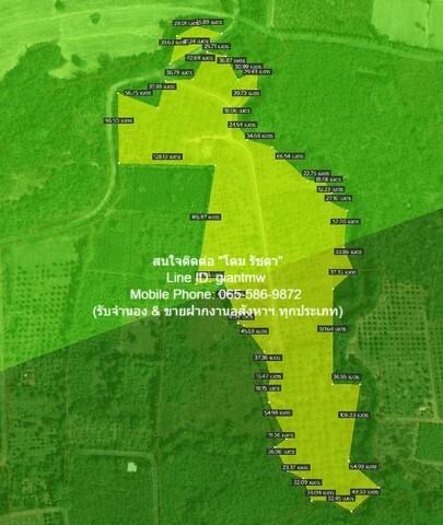 พื้นที่ดิน ขายที่ดินสวนผลไม้ปลอดสารพิษ (Organic) อ.ประจันตคาม จ.ปราจีนบุรี 57-0-90.4 ไร่, ราคา 57 ล้านบาท 57000000 BAHT  1