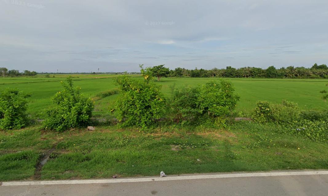 ขายที่ดิน 66 ไร่ ถนนบ้านดอนนาลุ่ม ตำบลหนองขนาน อำเภอเมืองเพชรบุรี จังหวัดเพชรบุรี 3