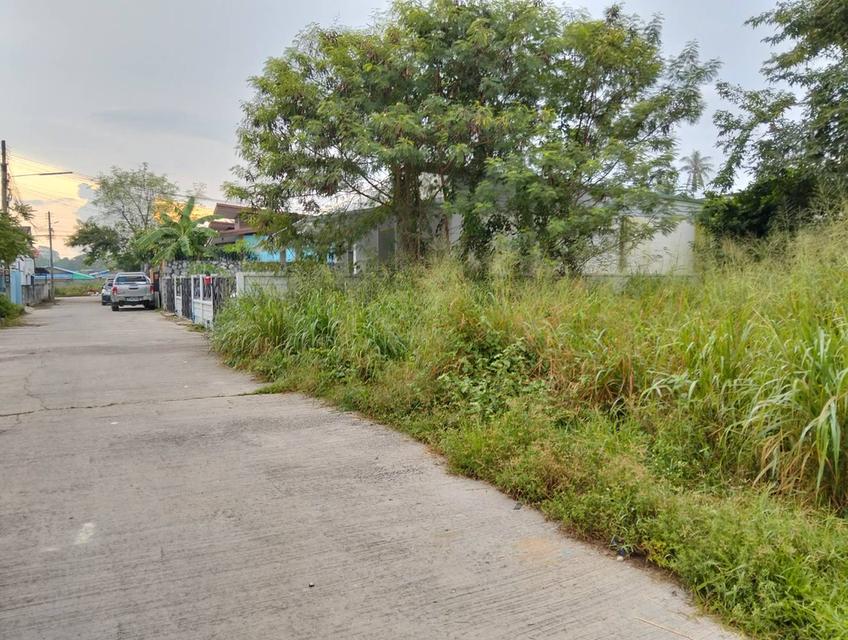 ที่ดิน 113 ตรว.ตะเคียนเตี้ย หลัง Big C ใกล้ถนน 4094 แค่ 100 เมตร 1