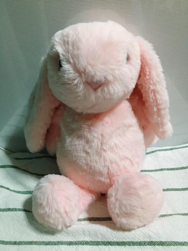 ขายตุ๊กตากระต่าย Jellycat 2