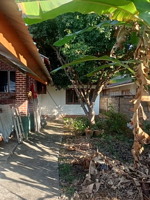 ขายบ้านพร้อมอยู่บรเนื้อที่121ตรว 4