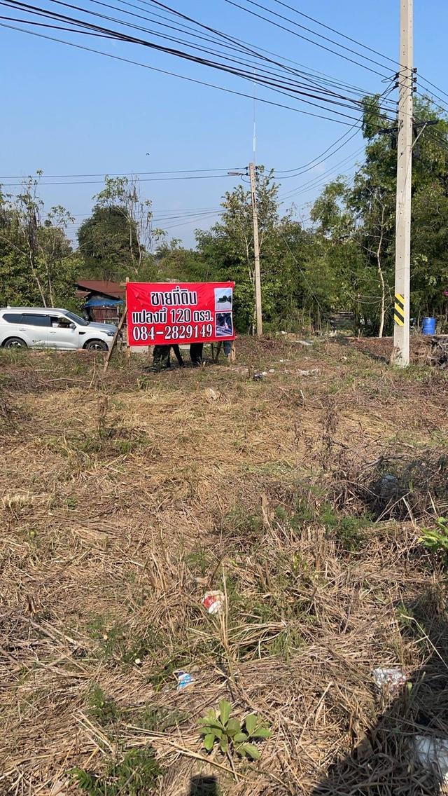 #ขายที่ดิน #ขายที่ดินบางเลน #ขายที่ดินนครปฐม 5