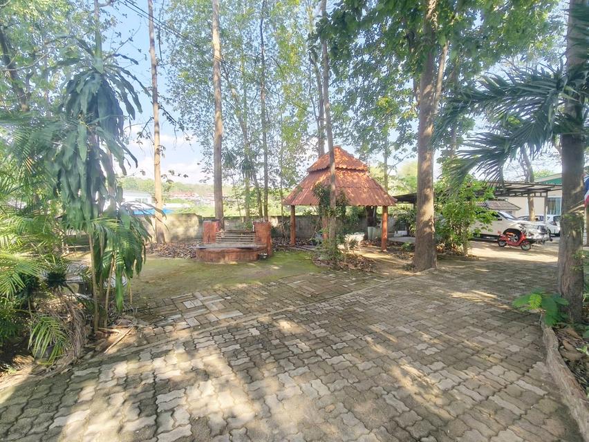 ที่ดินพร้อมสิ่งปลูกสร้างพอพัก ค้านอาหารบ้านพัก อ.เมืองจ.พะเยา 6