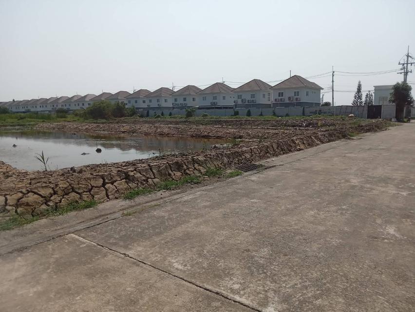 ขายที่ดินเปล่า 2 ไร่ ติดถนนคอนกรีต ซอยเทศบาลบางปู 83 3