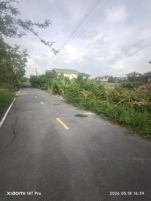 ขายด่วนที่ดิน 176 ตรว ติดถนนลาดยาง ซ.ร่วมสุข 3/6 เมืองปทุมธานี ปทุมธานี 5