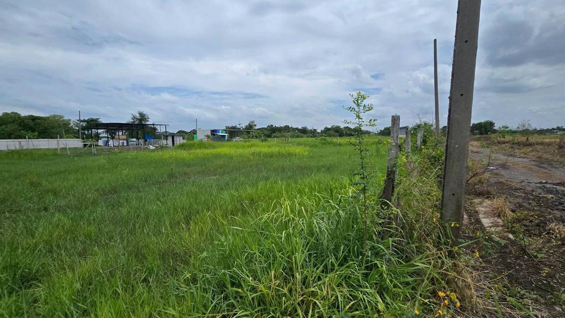 ขายด่วนที่ดิน 300 ตรว ติดถนนสาธารณะ 2 ด้าน ซ.บุญไพศาล1 คลอง 9 หนองเสือ ปทุมธานี 7