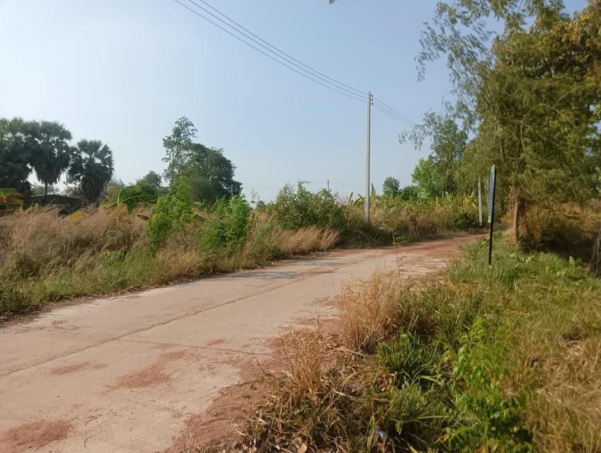 ที่ดินอสังหาริมทรัพย์ 5