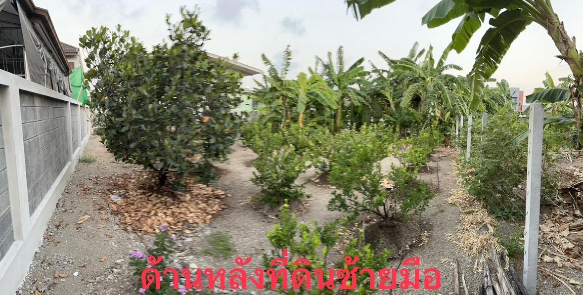 ขายที่ดินเปล่า ติวานนท์27  *  เนื้อที่ดิน 95 ตร.ว.  *  ขนาด15*24 ม.  *  ทำเลดี ใกล้MRTสาย 7