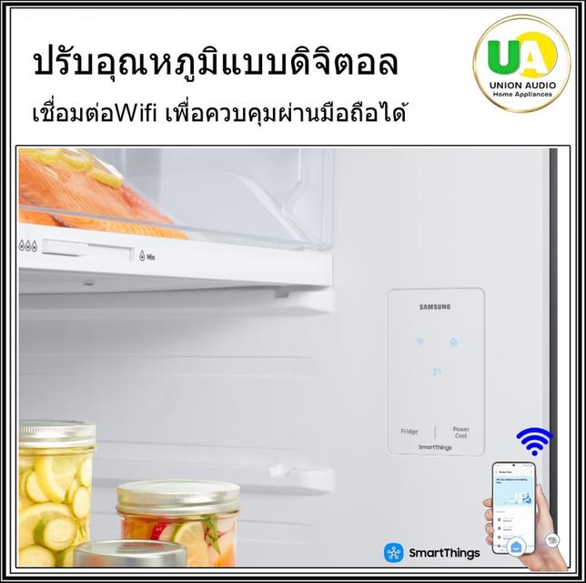 SAMSUNG ตู้เย็น 2ประตู RT47CG6644S9ST พร้อมด้วย AI Energy Mode 16.4 คิว