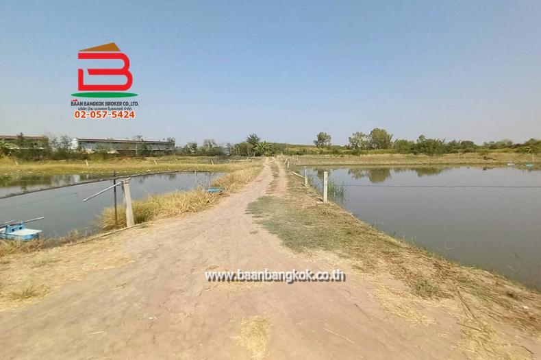 ที่ดิน ซอยโรงหลวง (ใกล้ห้างตะวันออกคอมเพล็กซ์) เนื้อที่ 9 ไร่ 1 งาน 67 ตรว. ตำบลหนองตีนนก อำเภอบ้านโพธิ์ ฉะเชิงเทรา 3