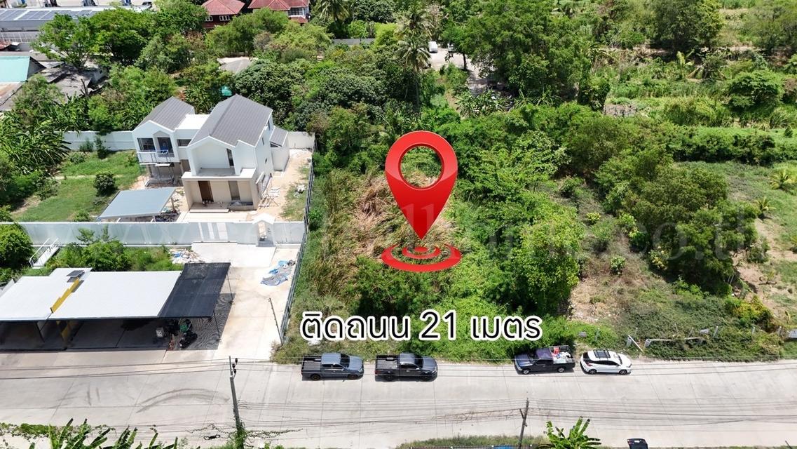 ที่ดินผังสีม่วง 200 ตร.วา ซอยเอกชัย 76/1 บ้านธนบดี - บางบอน 1 5