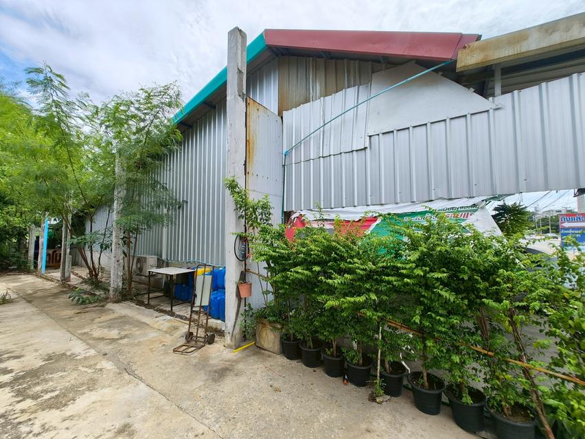 ขายด่วน-ที่ดินติด ถ.นครชัยศรี ใกล้มอเตอร์เวย์ถึง 2 สาย (เจ้าของขายเอง) 6