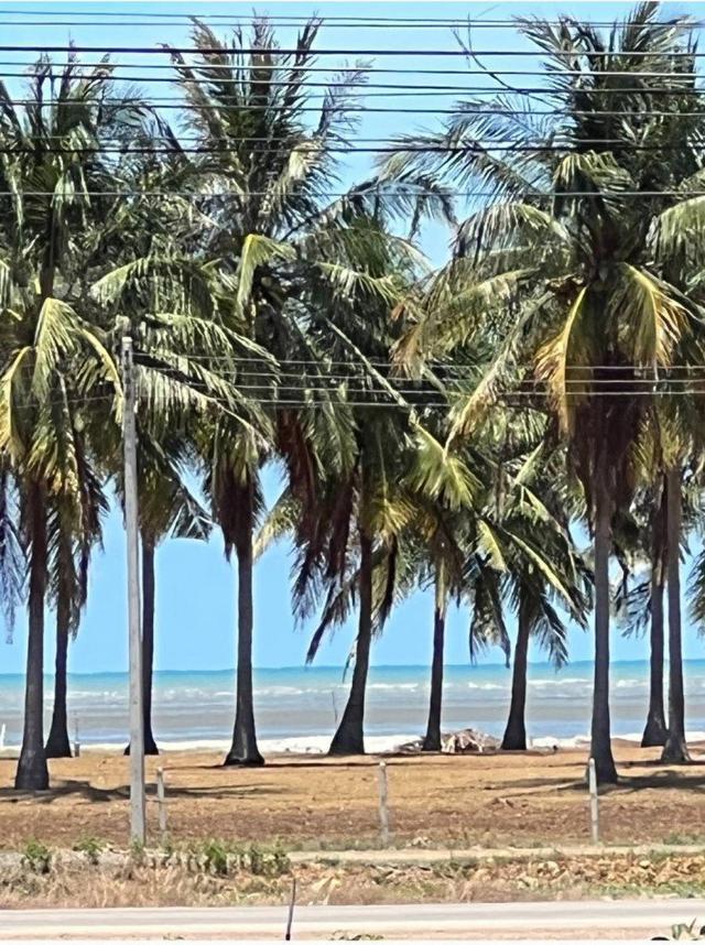 รูป ขาย ที่ดิน ติดทะเล 8 ไร่ วิวสวยงามมากๆ ทำเลทอง กุยบุรี 5