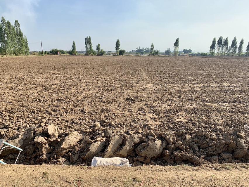 ขายที่ดินสวย16ไร่ ต.วังศาลา อ.ท่าม่วง แปลงสวย ทำเลดี แหล่งชุมชน ใกล้กรุงเทพ เดินทางสะดวก 4