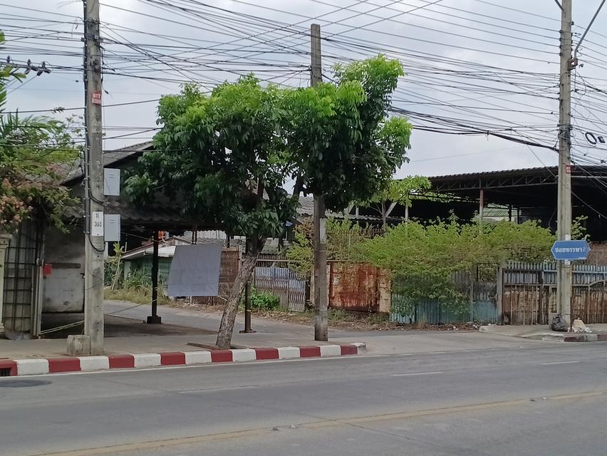 ที่ดิน ทำเลทองใจกลางเมือง ย่านชุมชนแหล่งธุรกิจ ริมถนนบางบอน 5 เพชรเกษม 81 11