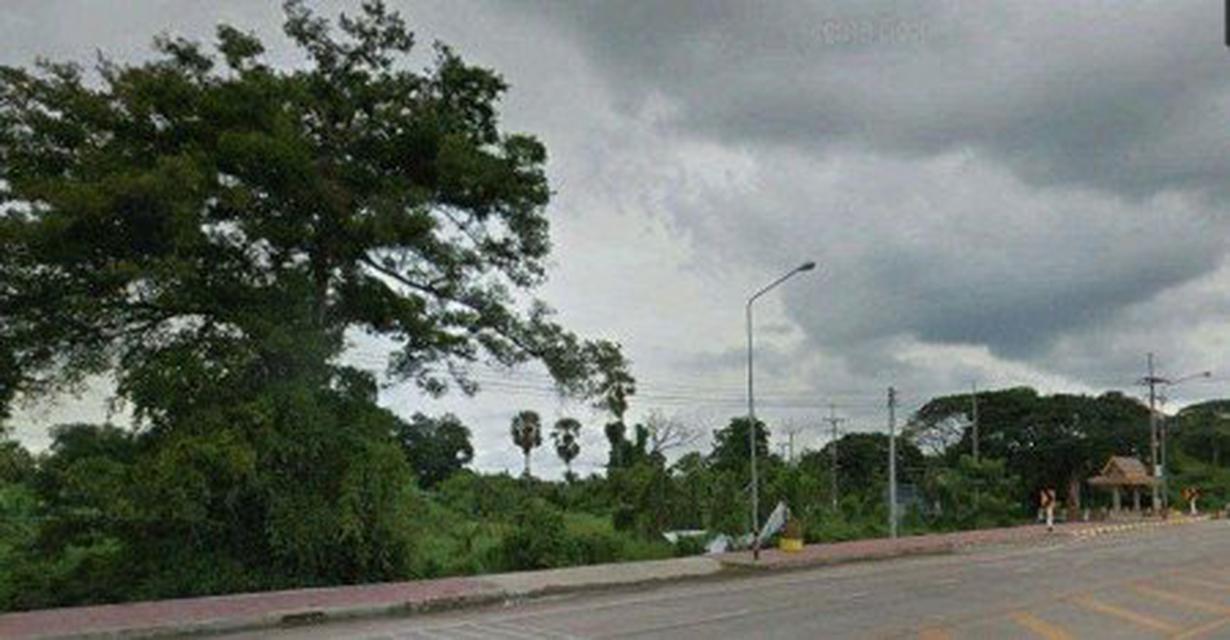 รูป ขาย ที่ดิน บนถนนพุทธมณฑลสาย8 (ถนน 6 เลน)  เส้นลัดเข้าศาลาธรรมสพน์ออกพุทธมณฑลสาย2 ใกล้สถานี MRTศาลายา ทำเลสวยมาก 1