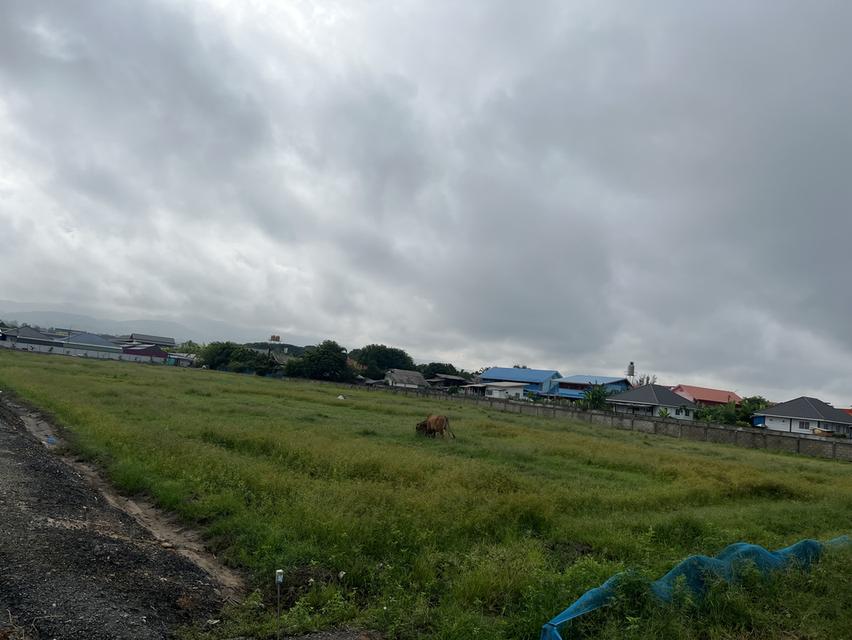 ขายที่ดิน ทำเลทอง