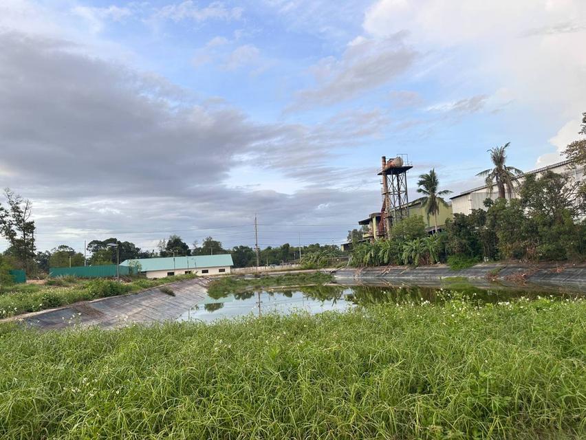 ขายโรงงานถุงมือทำเลดีติดถนนเพชรเกษมหาดใหญ่สงขลา 6