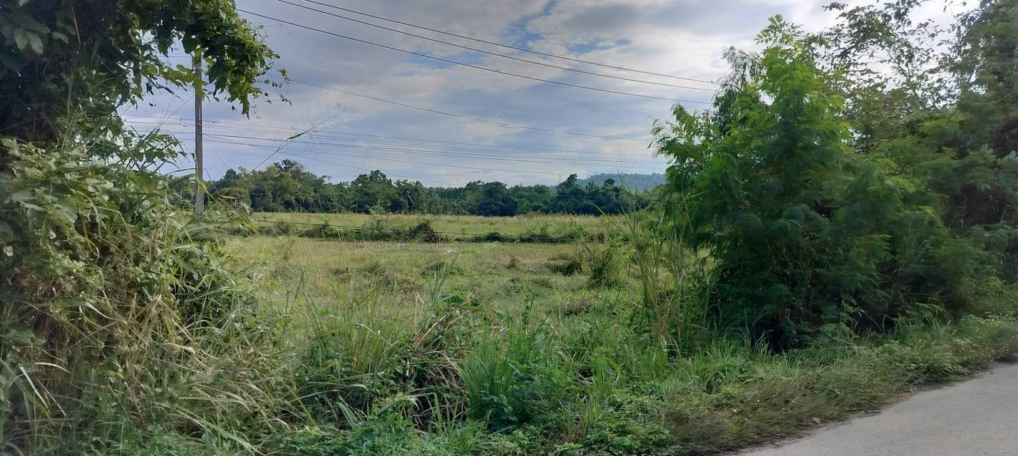 ที่ดินเชียงใหม่ ดอยสะเก็ด ติดถนนใหญ่ทำเลดี เจ้าของขายเอง 3
