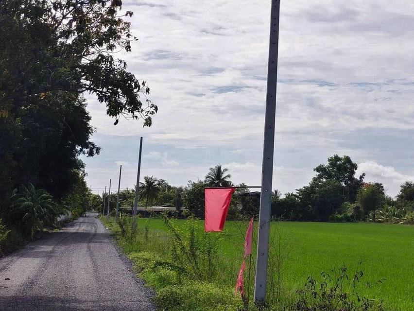 ขายที่ดิน 1 ไร่ บึงบา–หนองเสือ จ.ปทุมธานีบรรยากาศบ้านสวน มีทางเลือกผ่อนตรงเจ้าของ 36 งวด 5