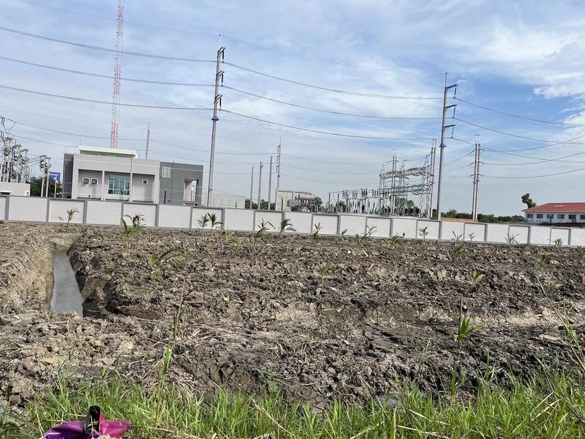 ขายที่ดินริมถนนพระราม2 บางกระเจ้า สมุทรสาคร 4