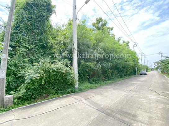 ที่ดิน ซอยไทรม้า เมืองนนทบุรี 2