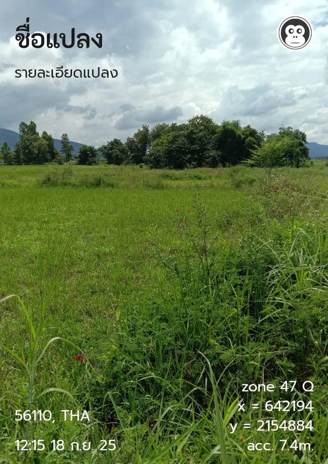 ขายที่ดิน   ต.เวียง อ.เชียงคำ จ.พะเยา 9