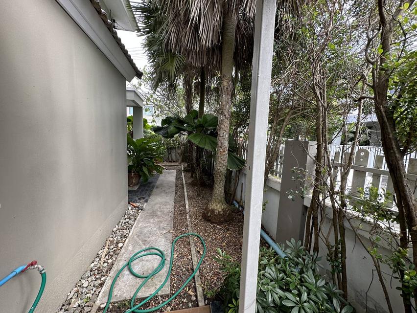 ขายด่วน!!(ต่อรองได้) บ้านเดี่ยว ไลฟ์ อิน เดอะ การ์เด้น สวนเสือ-ศรีราชา พื้นที่ 53.9 ตร.ว. ขนาด 165 ตร.ม. 7