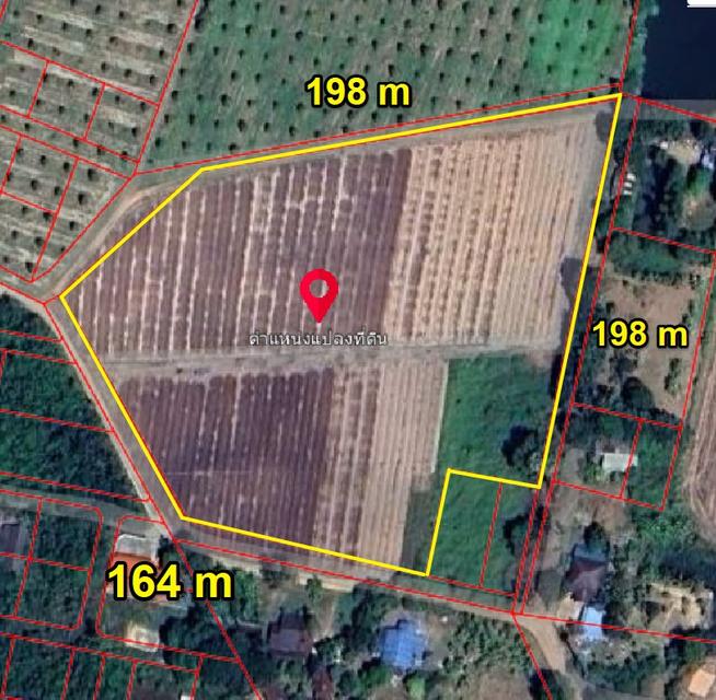 ขายที่ดินแปลงยาว 11 ไร่ ติดถนน2ด้าน ใกล้นิคมเกตเวย์ ใกล้ถนน3015-500เมตร จ.ฉะเชิงเทรา 3