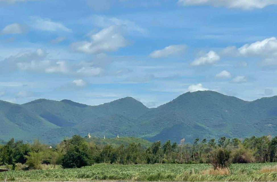 ขายที่ดินสามพระยา จ เพชรบุรี 200 ตรว 790,000 บา 1