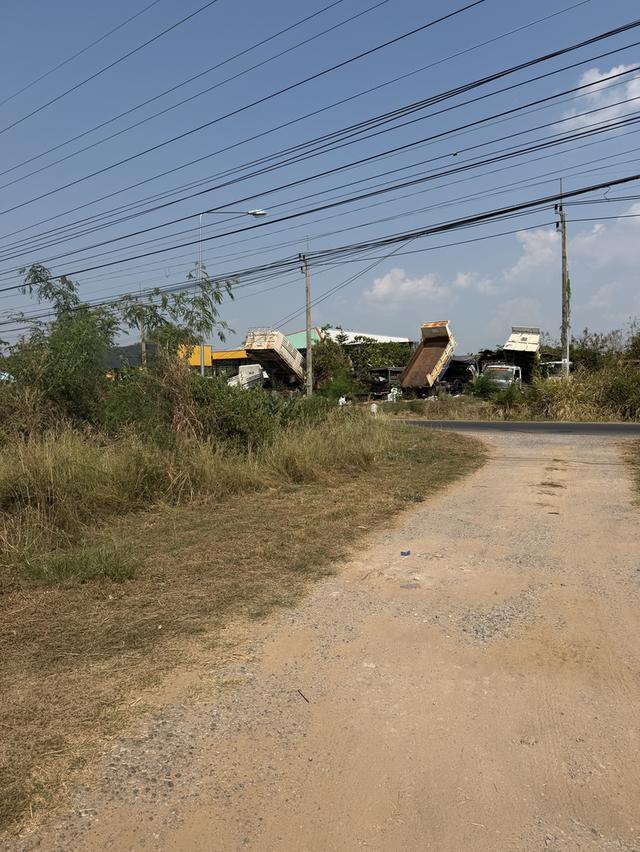 ขายที่ดิน 5.5 ไร่ แถม 1 ไร่ อำเภอโกสุมพิสัย จังหวัดมหาสารคาม 3