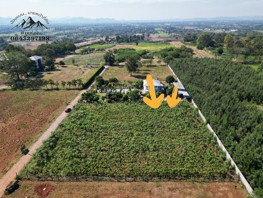 ขายที่ดินโฉนดแบ่งขาย 1 ไร่ ไร่ละ 2,600,000 บาท 2