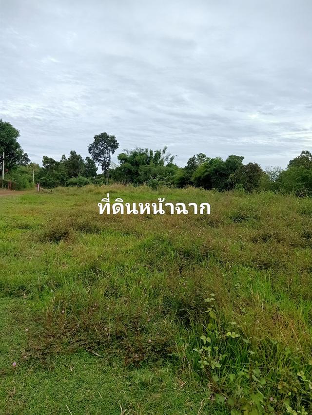 ขายที่ดินว่างเปล่าที่เมืองจังหวัดสกลนคร 1
