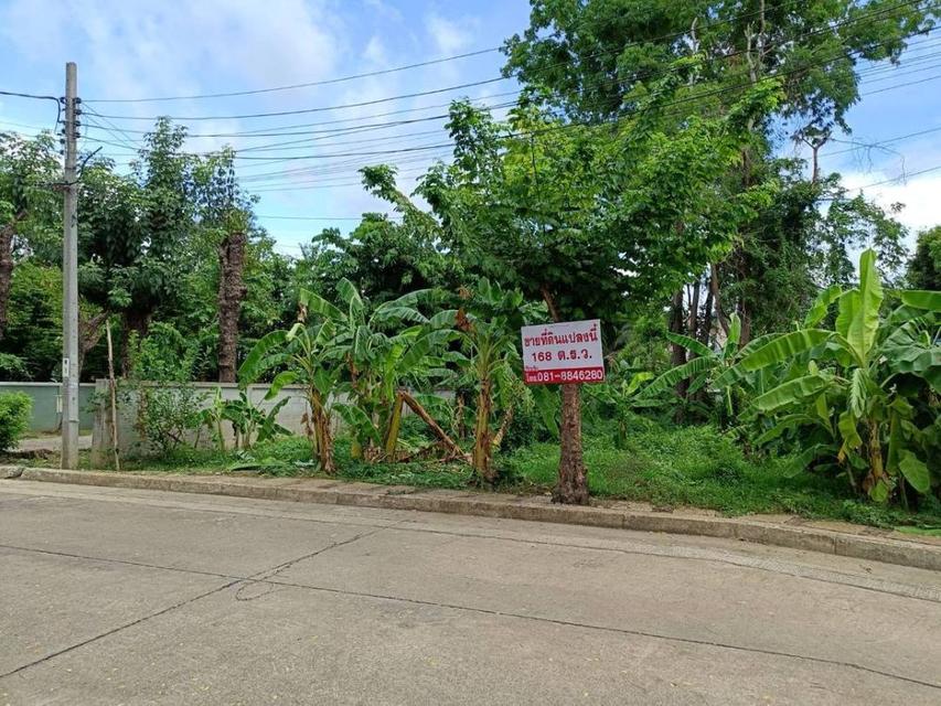 ขายที่ดินเปล่า 168 ตารางวา ในหมู่บ้านกาญจนาลักษณ์ 3  บางกรวย นนทบุรี 2