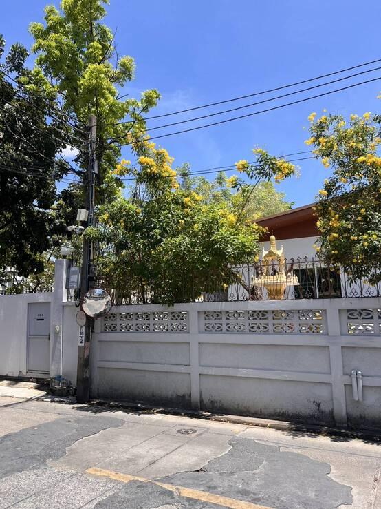 ขายที่ดิน 177 ตรว ขายตารางวาละ 350000 สุขุมวิท 65 ซอยชัยพฤกษ์ โทร 0816669559 3