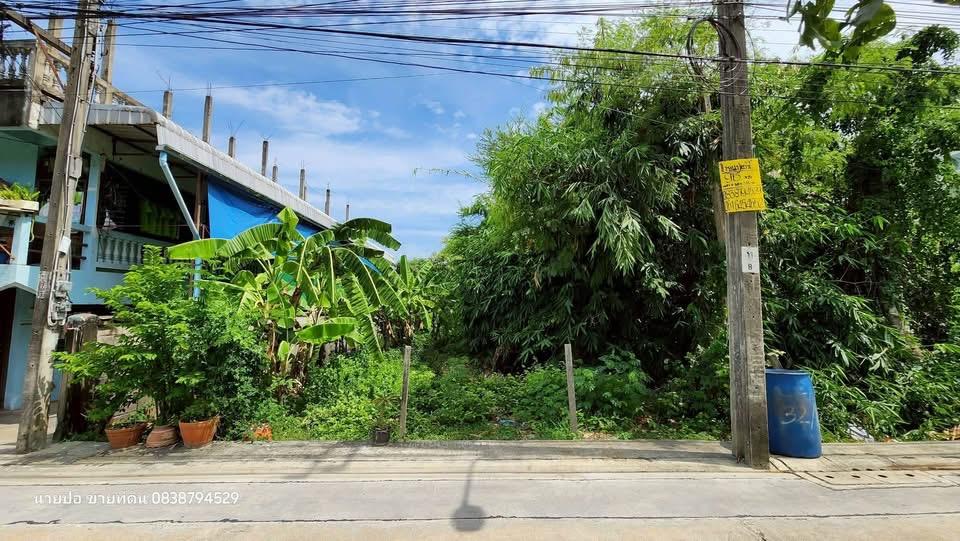 Vายที่ดินใกล้ม.ธนบุรี 96 ตารางวา ติดถนนคอนกรีต เพชรเกษม 108 แยก 7 ภาษีเจริญ กทม. 3