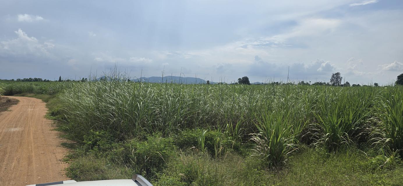 ขายที่ดิน23 ไร่2 งาน25 ตรว ครึ่ง 13