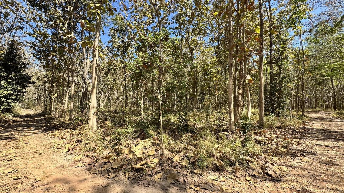 ขายที่ดิน อำเภอ พรรณา 7