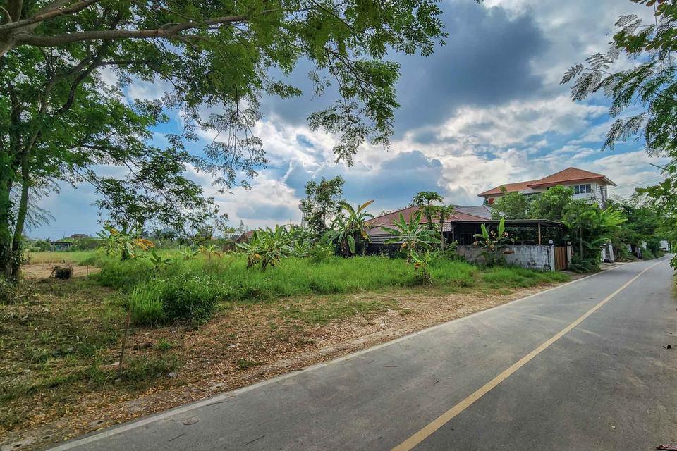 ที่ดินถมแล้ว พร้อมสร้าง วิวทุ่งนา บรรยากาศสงบ โซนหางดง ใกล้สนามบิน เดินทางสะดวก 6