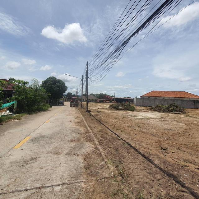 ขายที่ดินหนองปรือ พัทยา 224 ตรว. ถมแล้วซอยเขาตาโล11 ใกล้หาดจอมเทียน7กม. อ.บางละมุง ชลบุรี 2